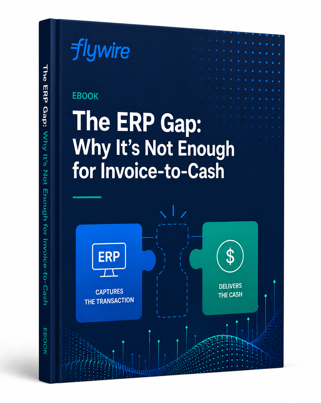Flywire PDF Preview